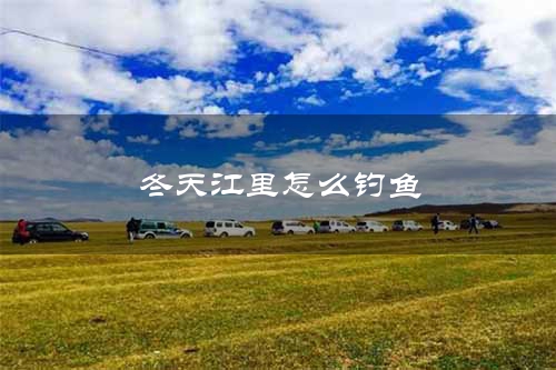 冬天江里怎么钓鱼