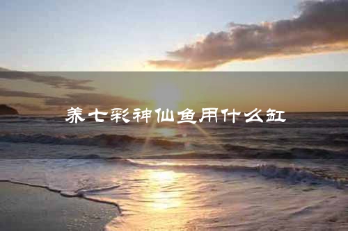 养七彩神仙鱼用什么缸