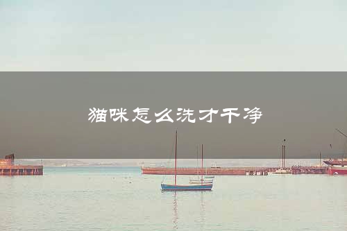 猫咪怎么洗才干净