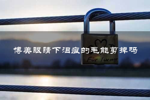 博美眼睛下泪痕的毛能剪掉吗