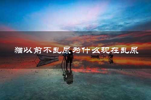 猫以前不乱尿为什么现在乱尿