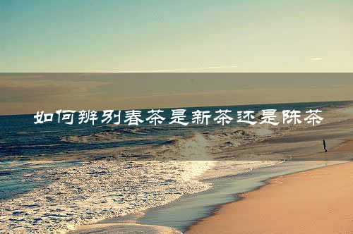 如何辨别春茶是新茶还是陈茶