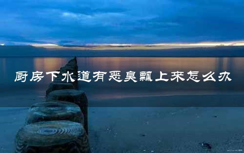 厨房下水道有恶臭飘上来怎么办