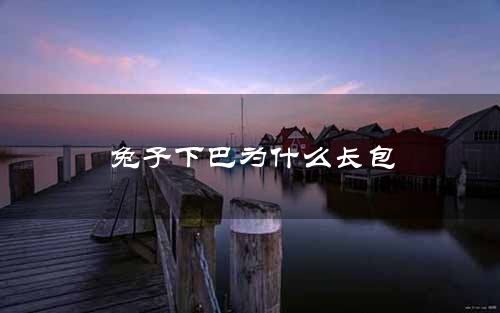 兔子下巴为什么长包