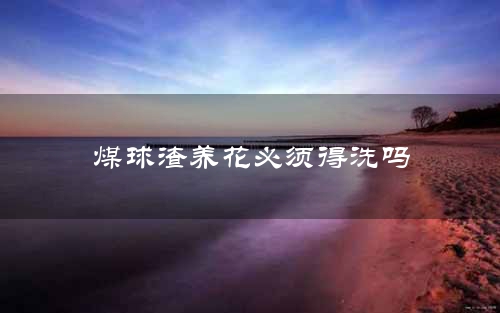 煤球渣养花必须得洗吗
