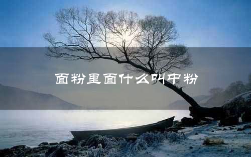 面粉里面什么叫中粉