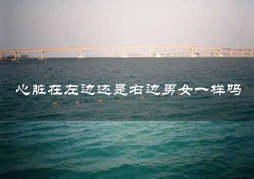心脏在左边还是右边男女一样吗