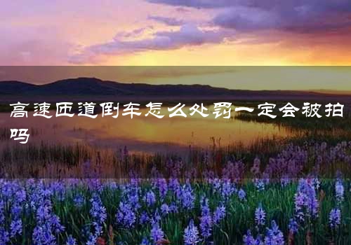 高速匝道倒车怎么处罚一定会被拍吗