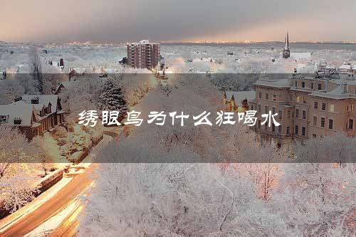 绣眼鸟为什么狂喝水