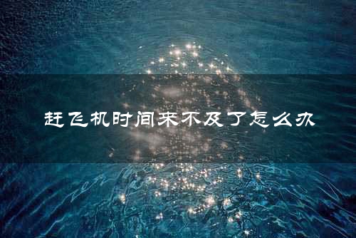 赶飞机时间来不及了怎么办