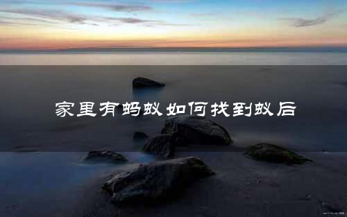 家里有蚂蚁如何找到蚁后