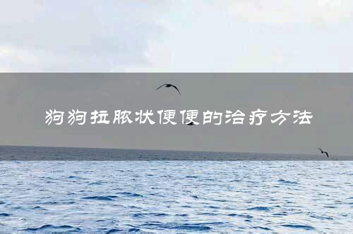 狗狗拉脓状便便的治疗方法