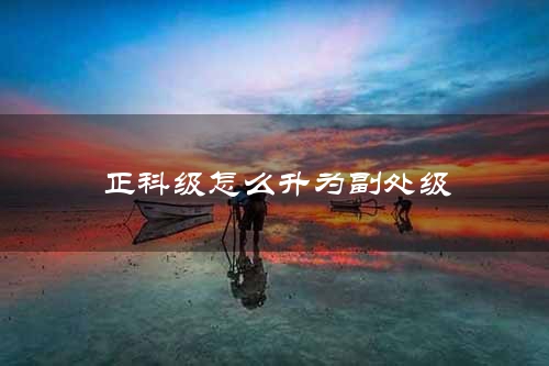 正科级怎么升为副处级