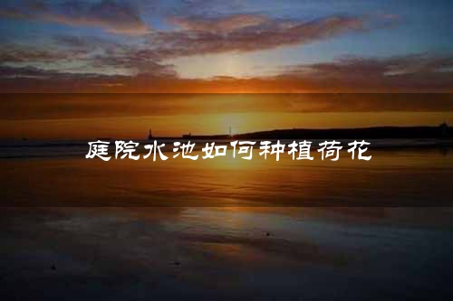 庭院水池如何种植荷花