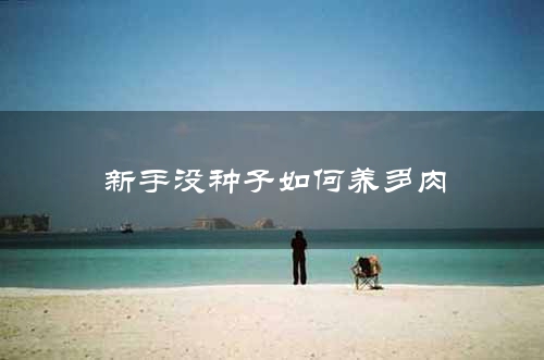 新手没种子如何养多肉