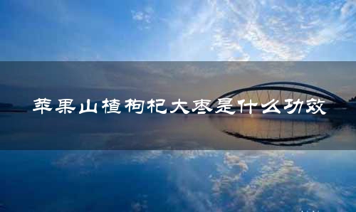 苹果山楂枸杞大枣是什么功效