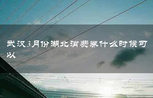 武汉3月份湖北消费券什么时候可以