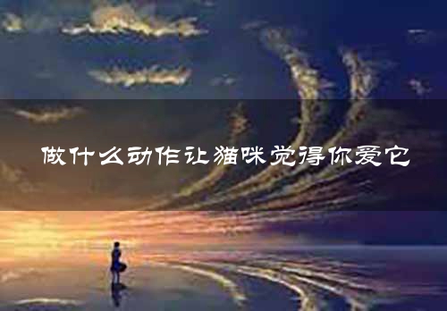 做什么动作让猫咪觉得你爱它
