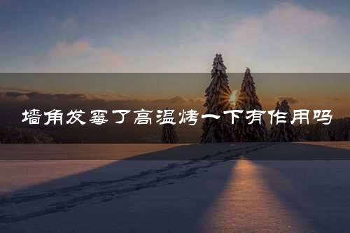墙角发霉了高温烤一下有作用吗