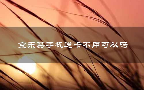 京东买手机送卡不用可以吗