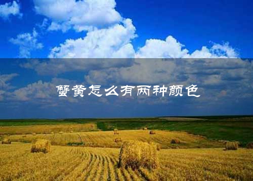 蟹黄怎么有两种颜色