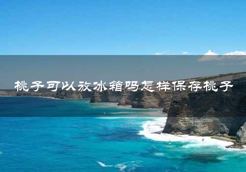 桃子可以放冰箱吗怎样保存桃子