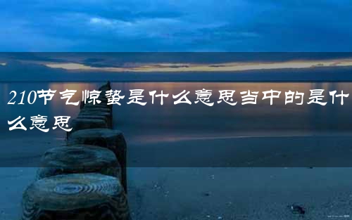 210节气惊蛰是什么意思当中的是什么意思