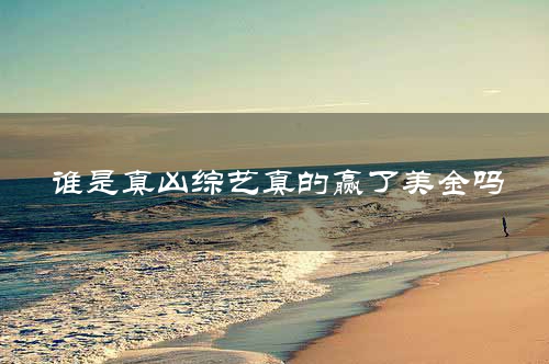 谁是真凶综艺真的赢了美金吗