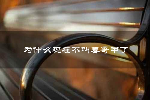 为什么现在不叫春哥甲了