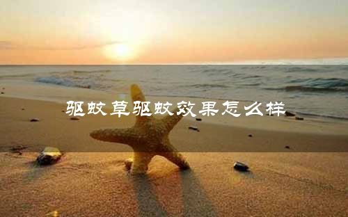 驱蚊草驱蚊效果怎么样