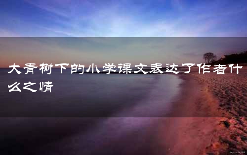 大青树下的小学课文表达了作者什么之情