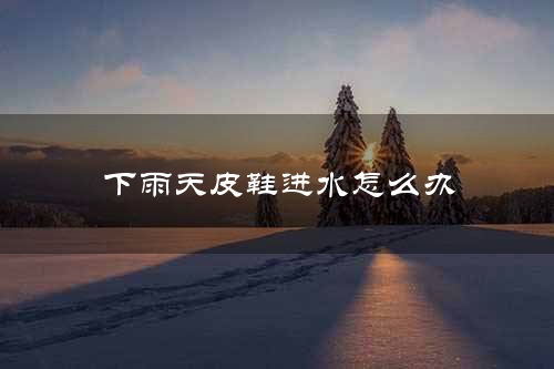 下雨天皮鞋进水怎么办