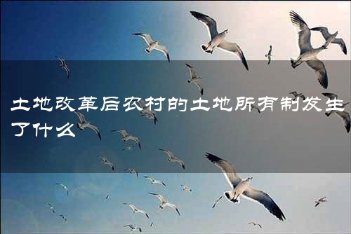 土地改革后农村的土地所有制发生了什么