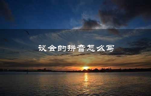 议会的拼音怎么写