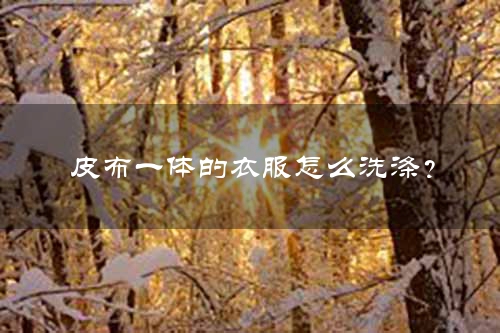 皮布一体的衣服怎么洗涤？