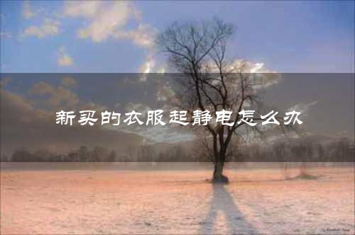 新买的衣服起静电怎么办