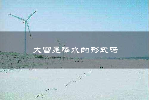 大雪是降水的形式吗