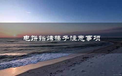 电饼铛烤榛子注意事项