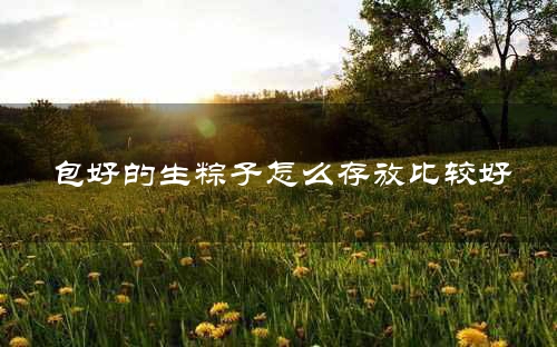 包好的生粽子怎么存放比较好