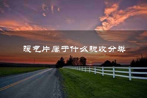 暖气片属于什么税收分类