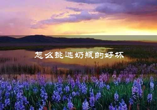 怎么挑选奶瓶的好坏
