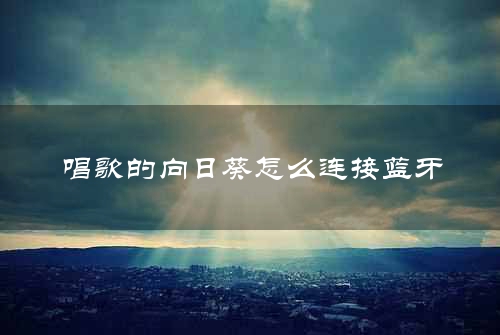 唱歌的向日葵怎么连接蓝牙