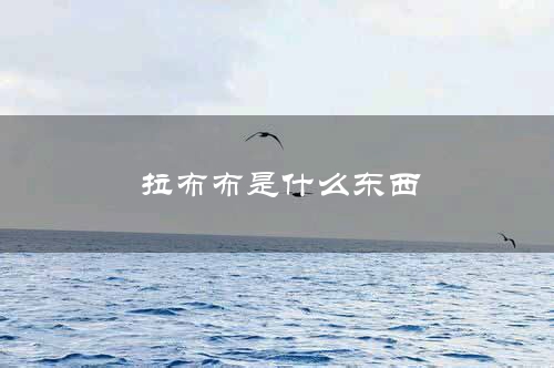 拉布布是什么东西