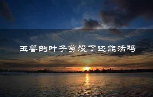 玉簪的叶子剪没了还能活吗