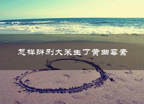 怎样辨别大米生了黄曲霉素