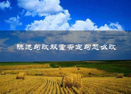 陈述句改双重否定句怎么改