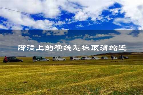 脚注上的横线怎样取消缩进