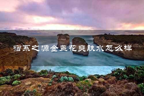 宿系之源金盏花爽肤水怎么样