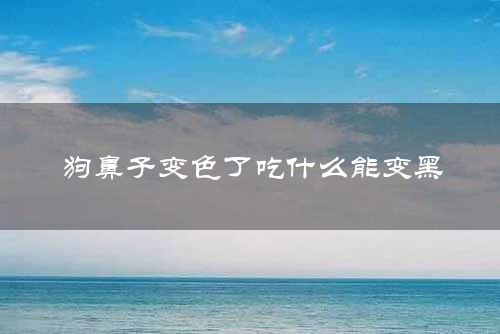 狗鼻子变色了吃什么能变黑