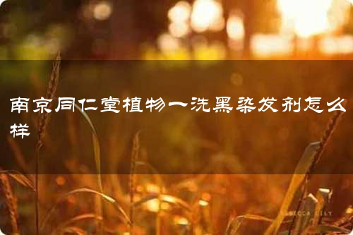 南京同仁堂植物一洗黑染发剂怎么样